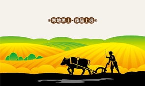 以插画风为设计的包装