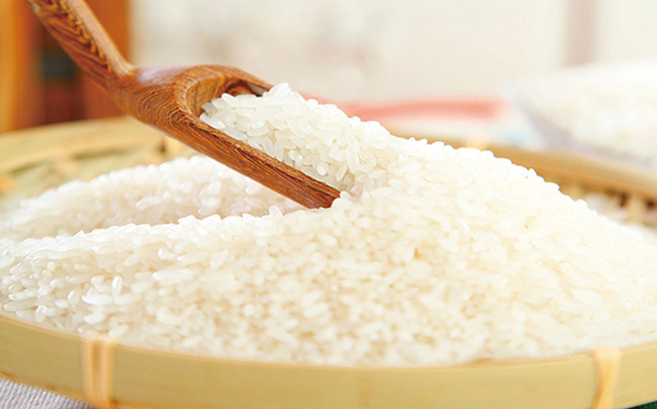 哈尔滨包装设计